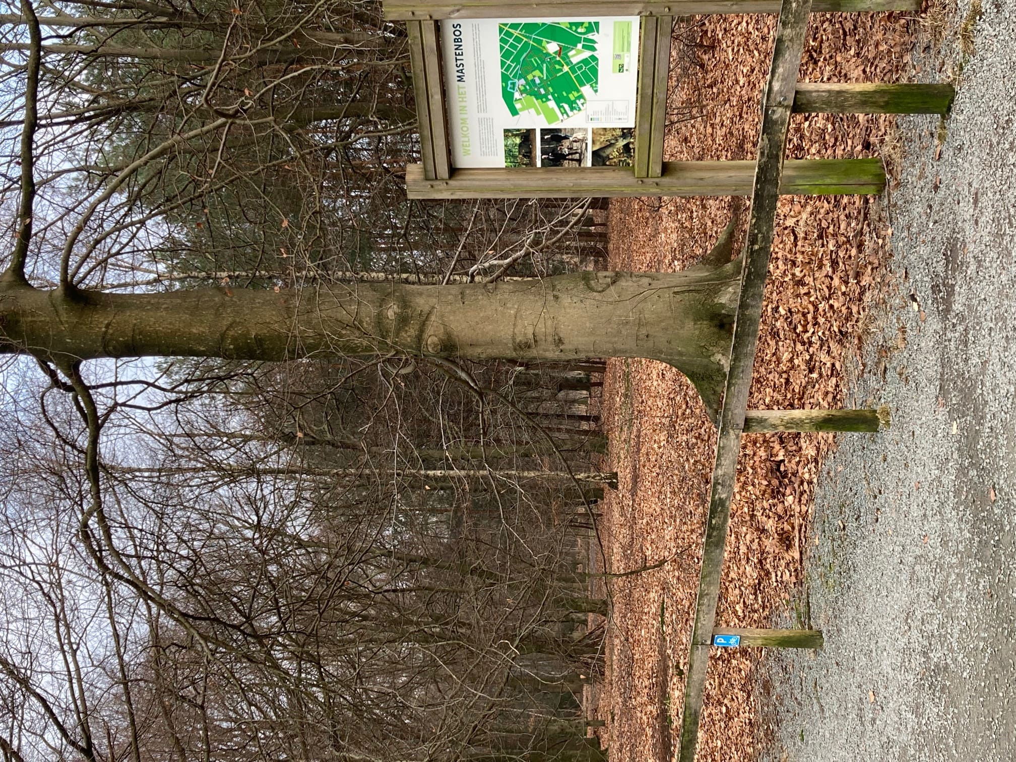 Kapellen — sfeerbeeld 1